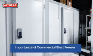 Importance of Commercial Blast Freezer