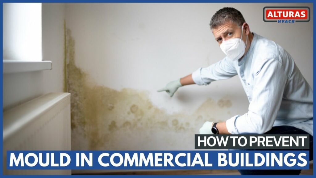 How To Prevent Mold in Commercial Buildings 