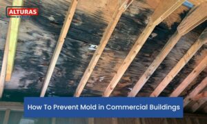 How To Prevent Mold in Commercial Buildings 