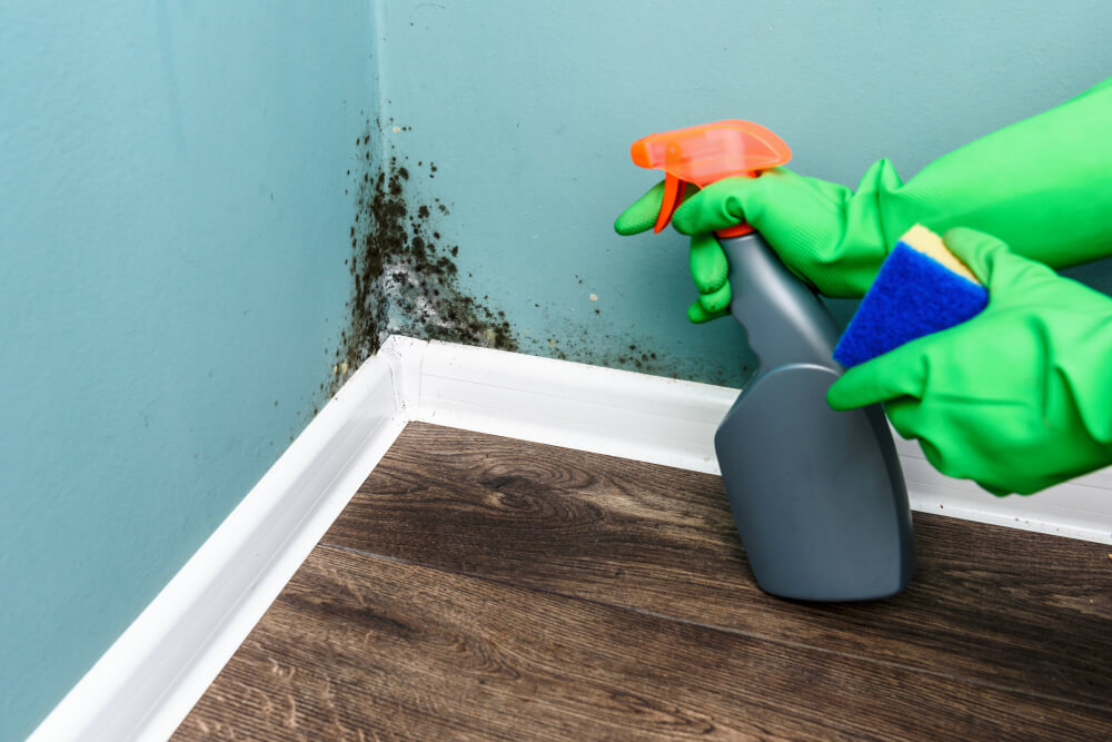 How To Prevent Mold in Commercial Buildings 2 Alturas Contractors How To Prevent Mould in Commercial Buildings