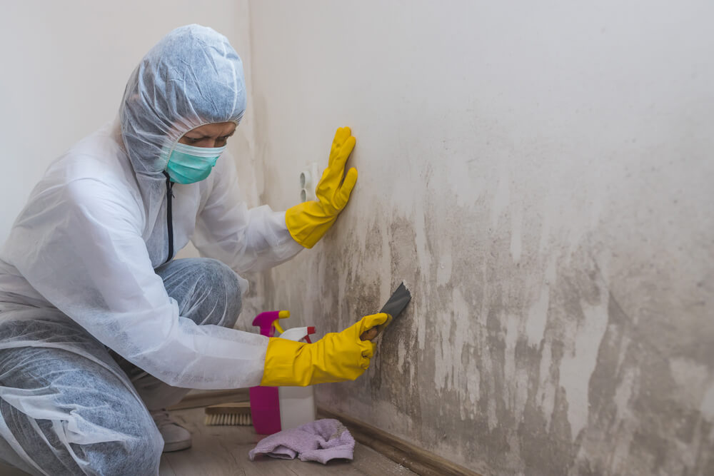 How To Prevent Mold in Commercial Buildings 3 Alturas Contractors How To Prevent Mould in Commercial Buildings