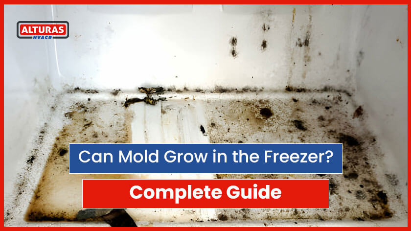 Can Mold Grow in the Freezer