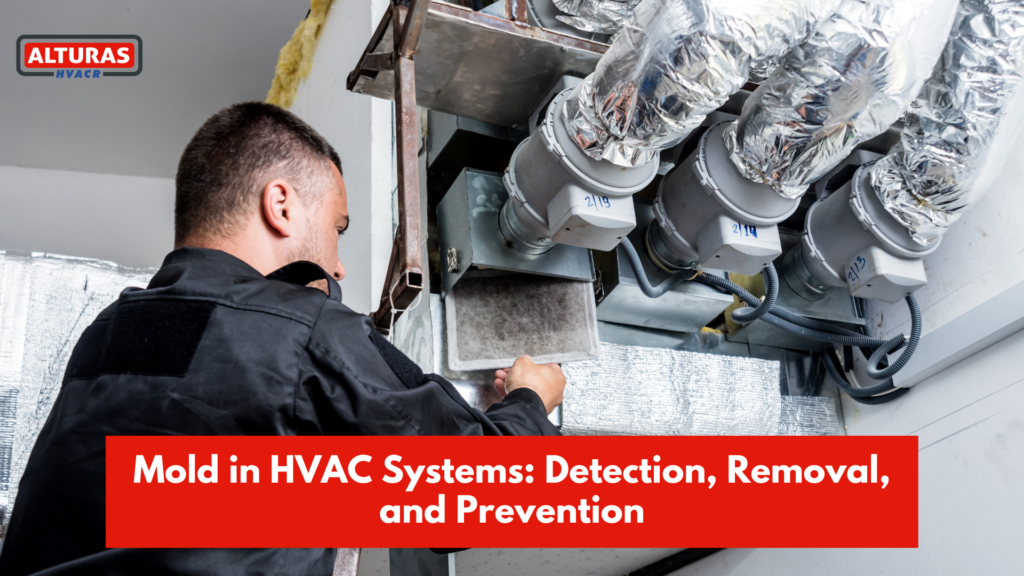 Mold in HVAC Systems